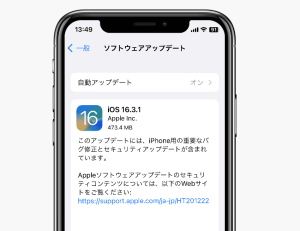  Apple、高度なデータ保護のバグを修正した iOS 17.6.1 をリリース